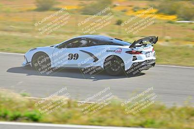 media/Apr-06-2024-Extreme Speed (Sat) [[3431b70655]]/Green-mid int/Session 1-The Bowl/